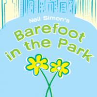 Ground UP Presents Talk Backs & Other Events With BAREFOOT IN THE PARK 7/8-7/25 Video